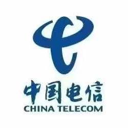 中国电信(泾阳县店)专用号