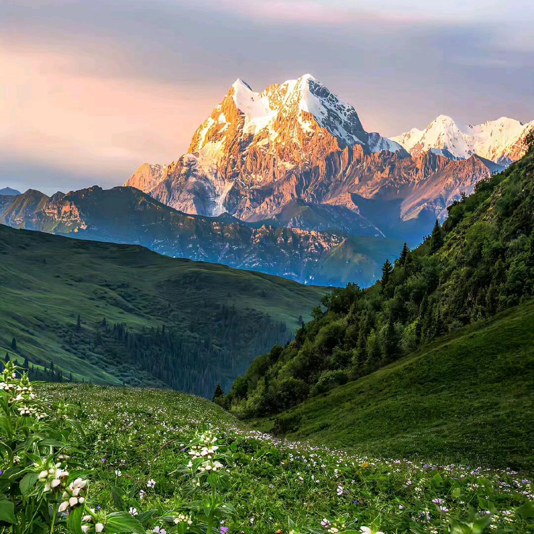 瑞辉爱儿百货号