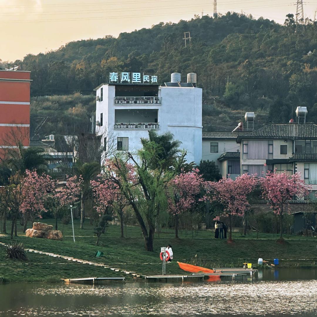 弥勒春风里民宿