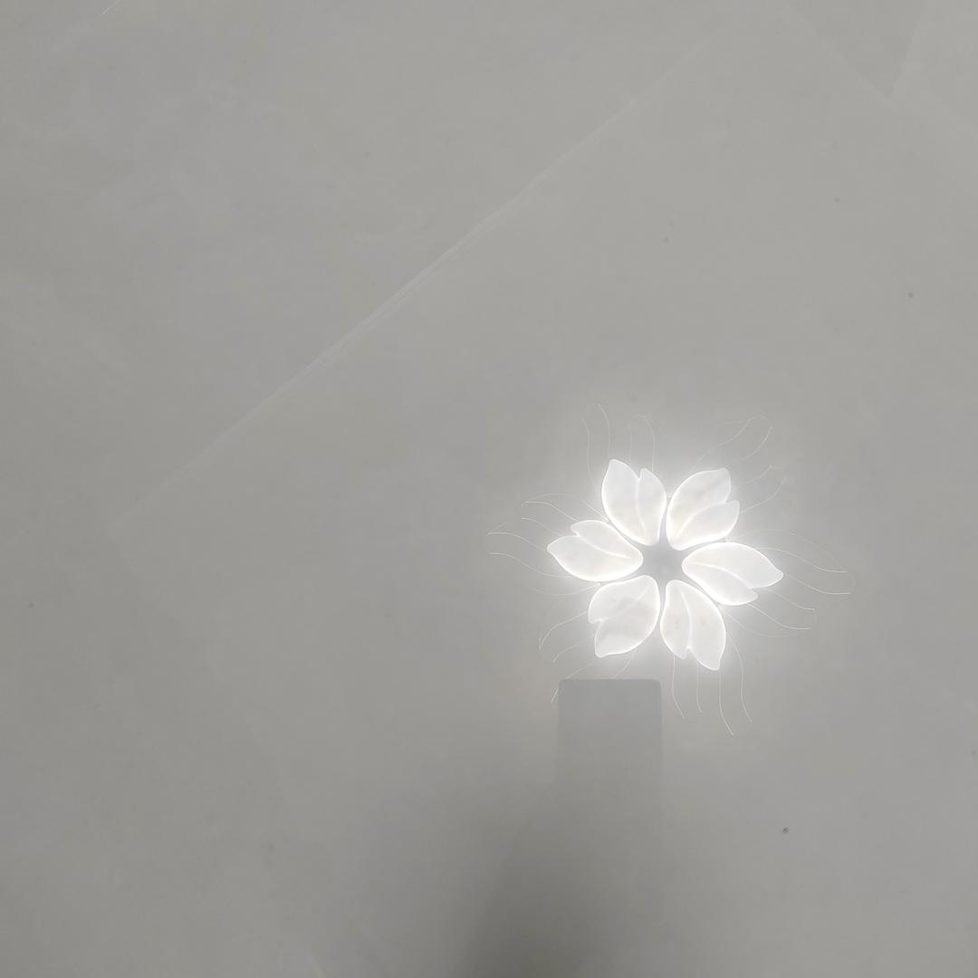 一直盯网直播号