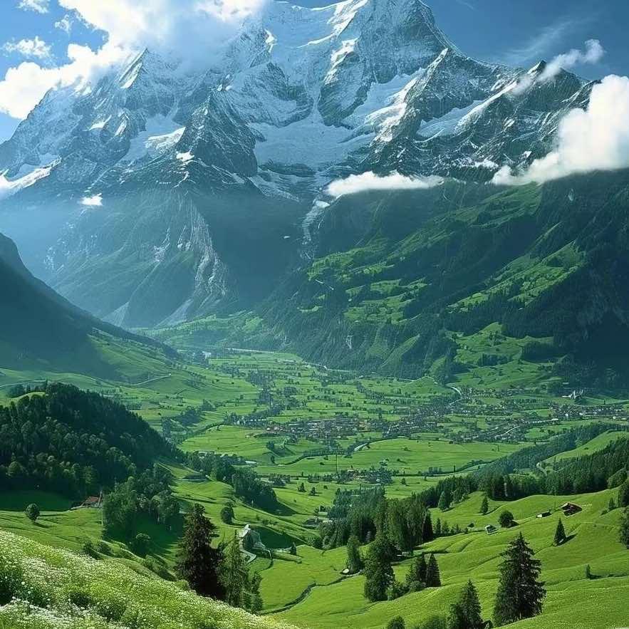 一只杨旋转火锅