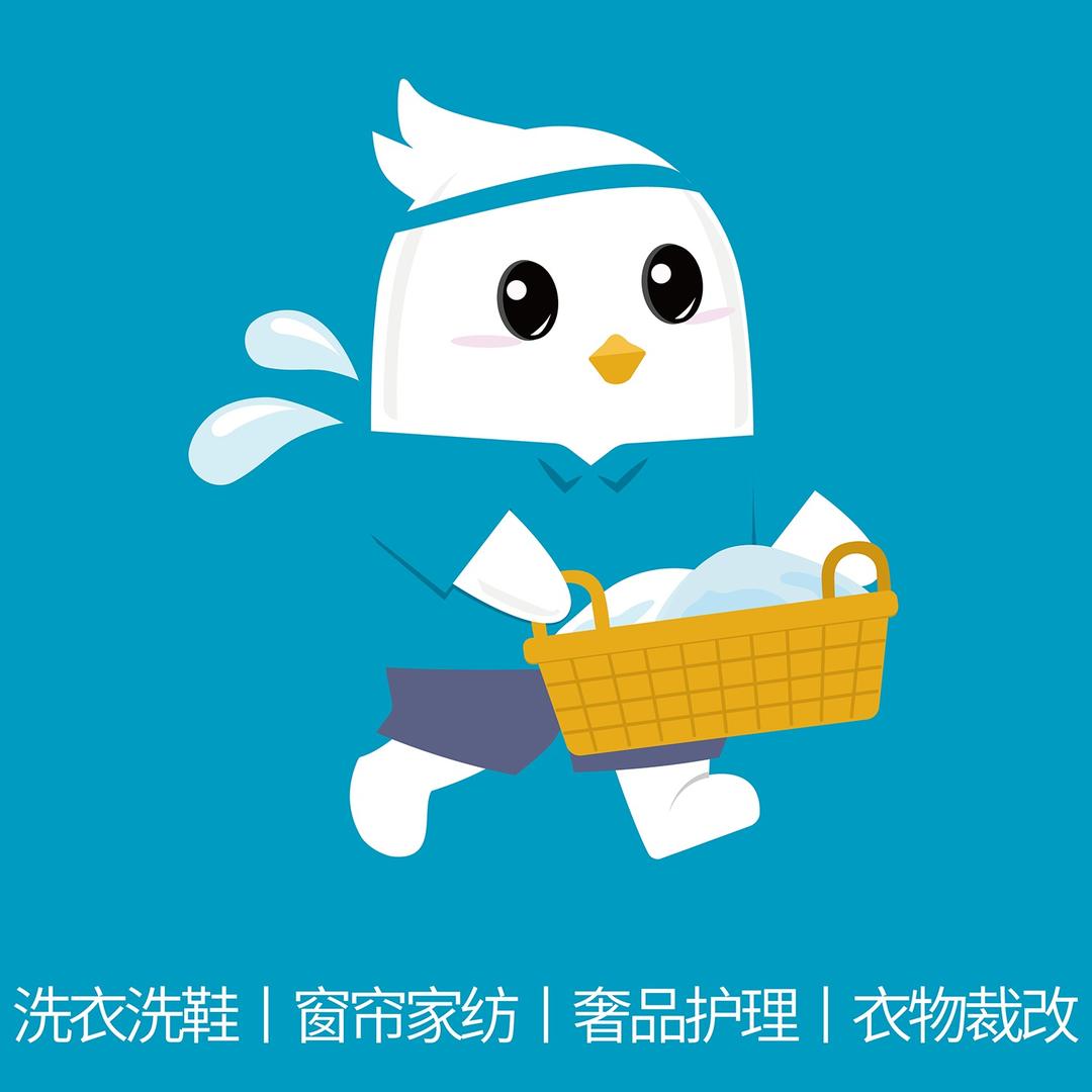 智享楼下洗衣小鸽
