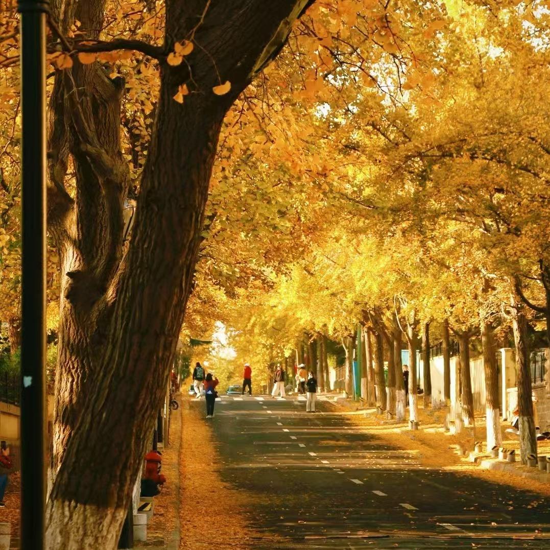 云南优擎铸酒店管理有限公司客服1号