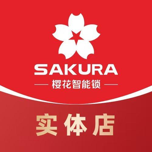 贵阳智能锁晨妹