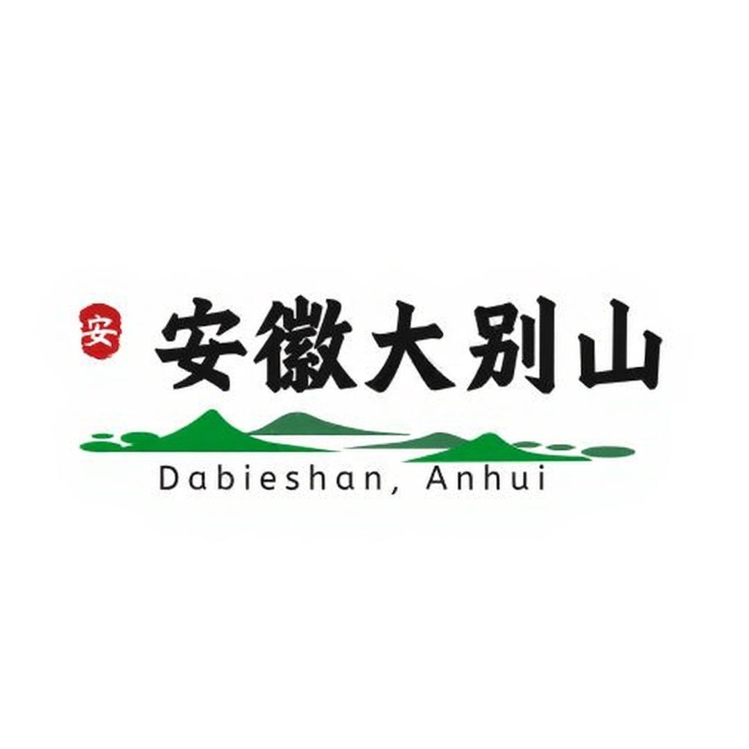 大别山旅行（九华山全景国际旅行社）