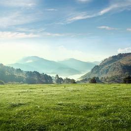 一笙婚纱艾雨日常号