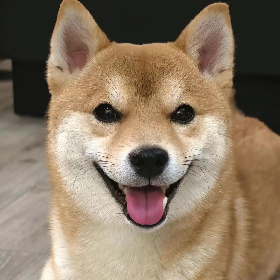 泸州阿杜鞋庄直播号