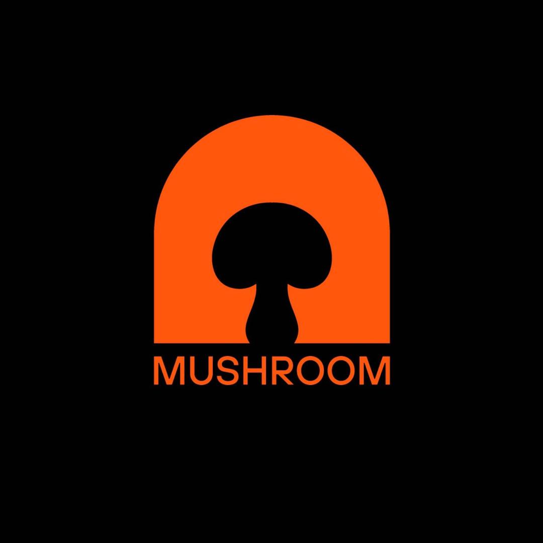 乌鲁木齐MushRoom蘑菇酒吧