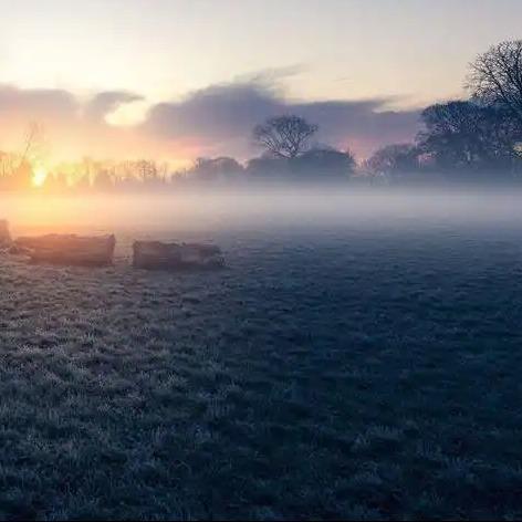 世纪龙门直播号