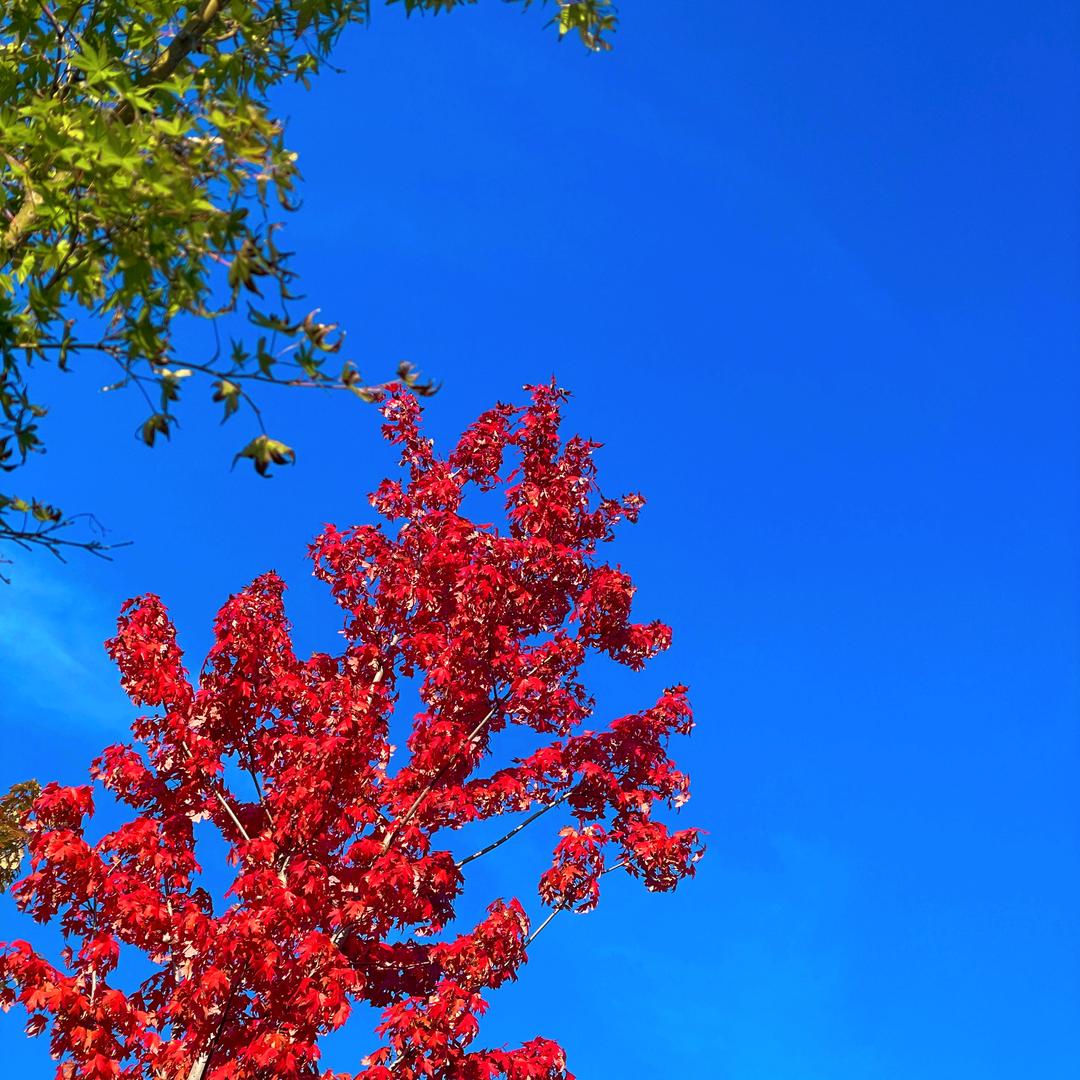 琴之缘美容养生馆