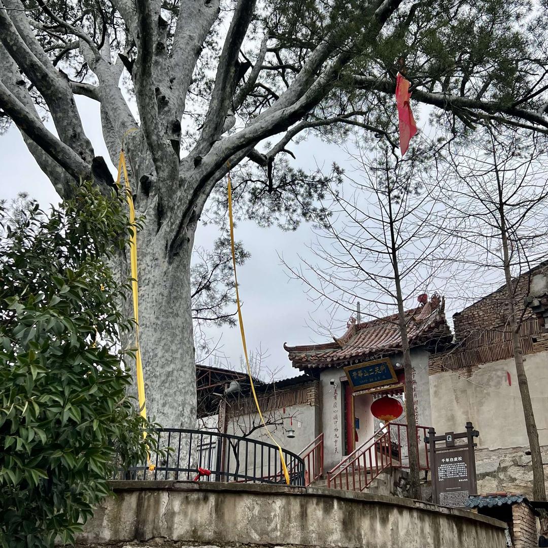 青华山景区