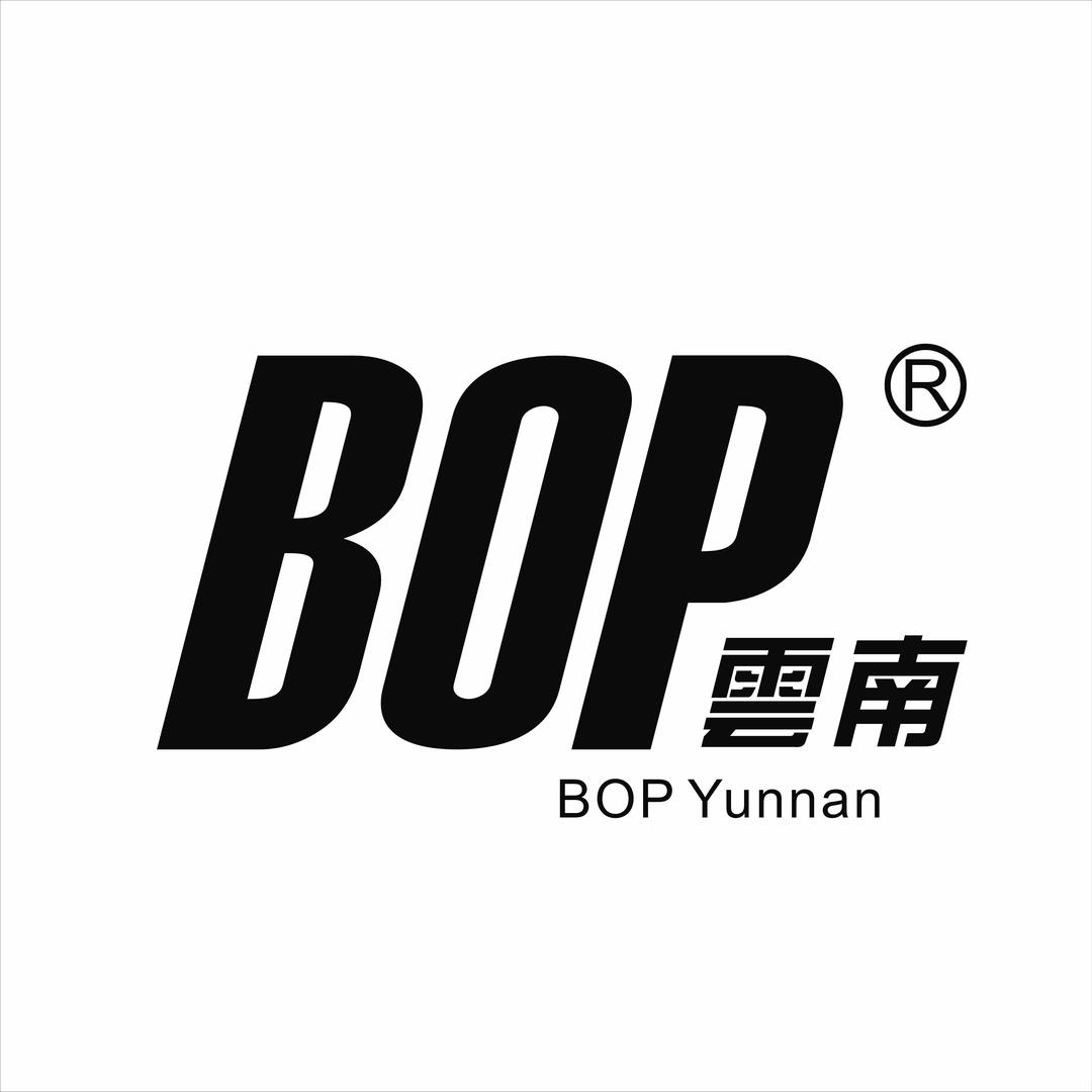 BOP保镖·昆明鑫聚源旗舰店