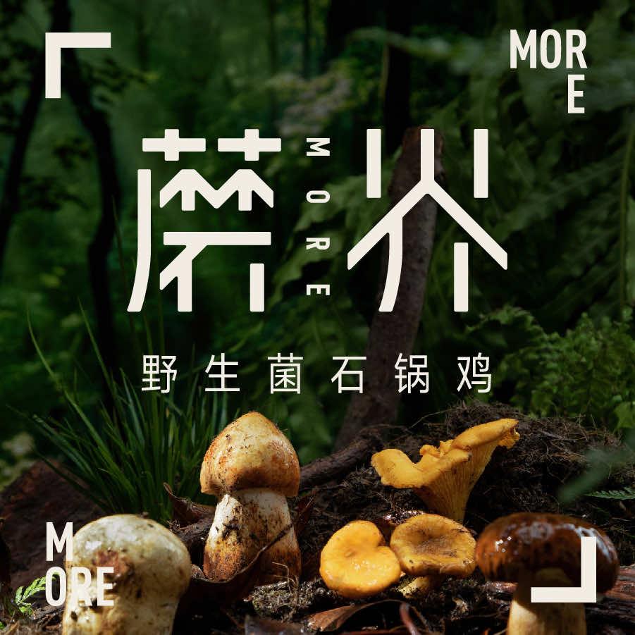 蘑界 野生菌火锅