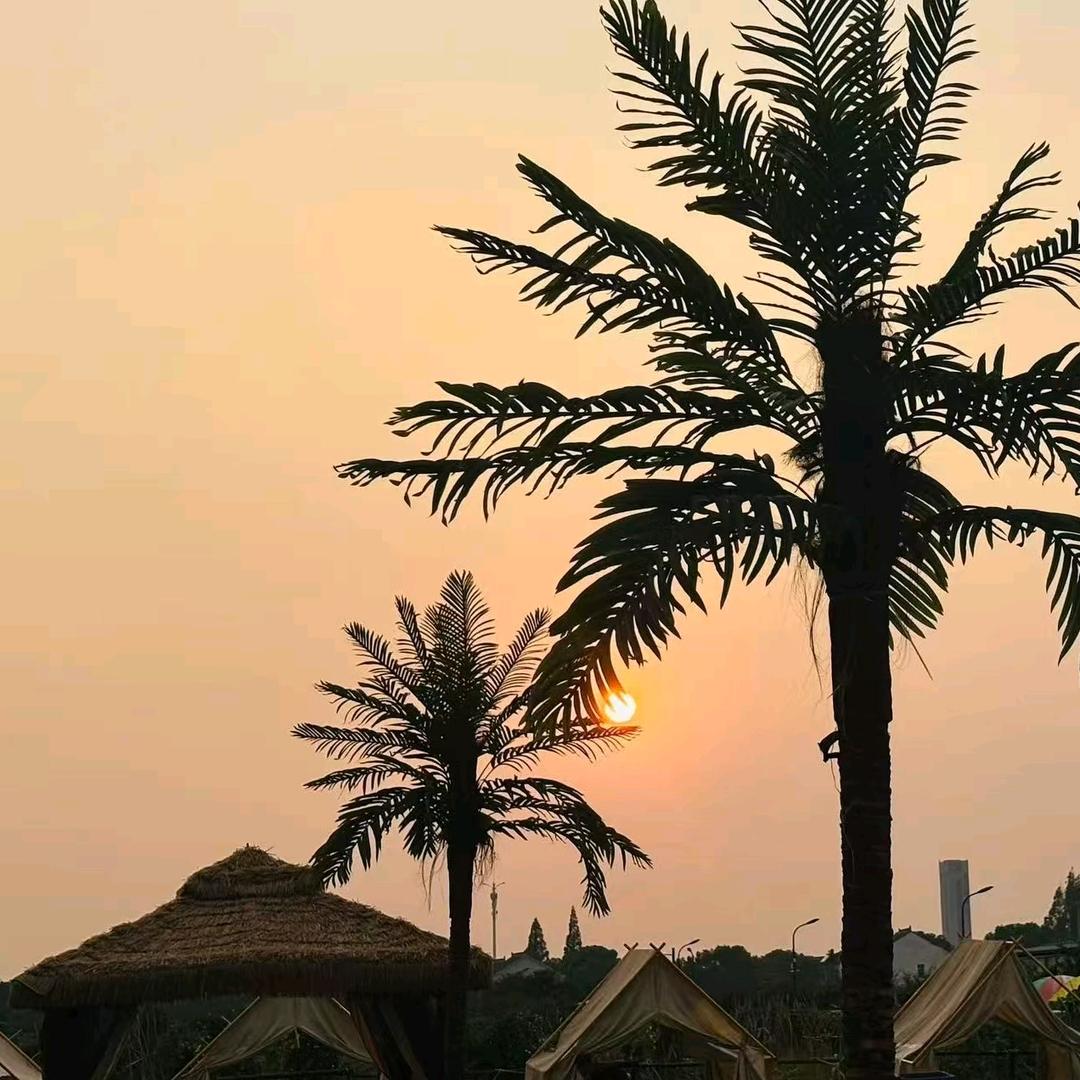 OMG轻拾光露营团建拓展基地