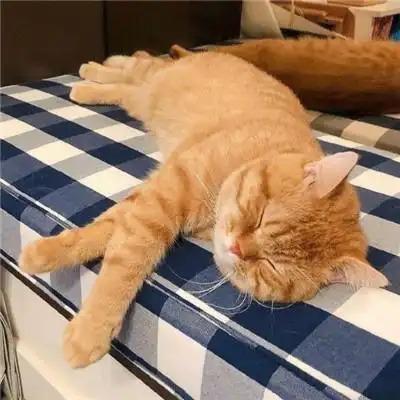 蓉唐盛道路救援脱困搭电成都苟杯于推广1号