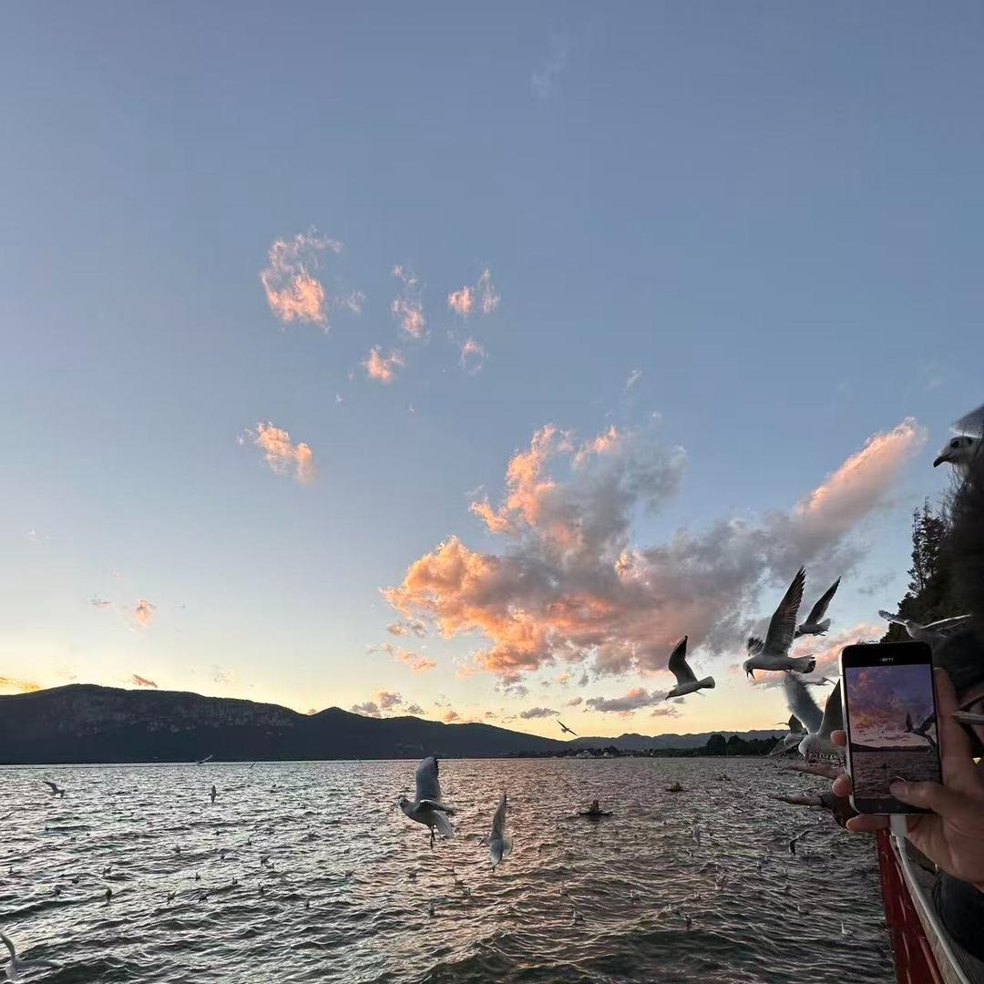 剪辑分享—浩浩