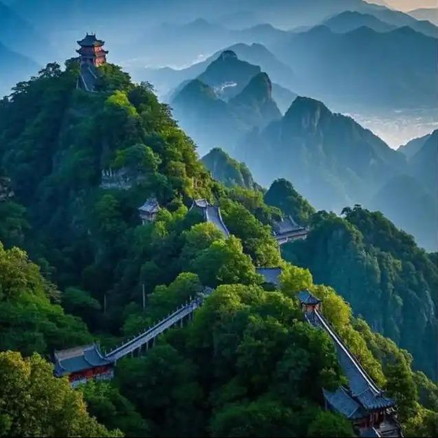 梦动倾枫小柯直播号