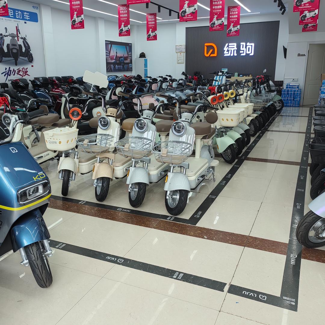 绿驹电动车(三原旗舰店）