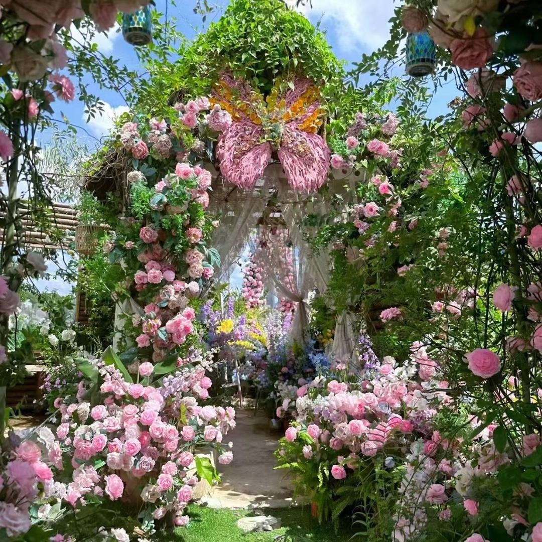 轻素栖花里-小颖