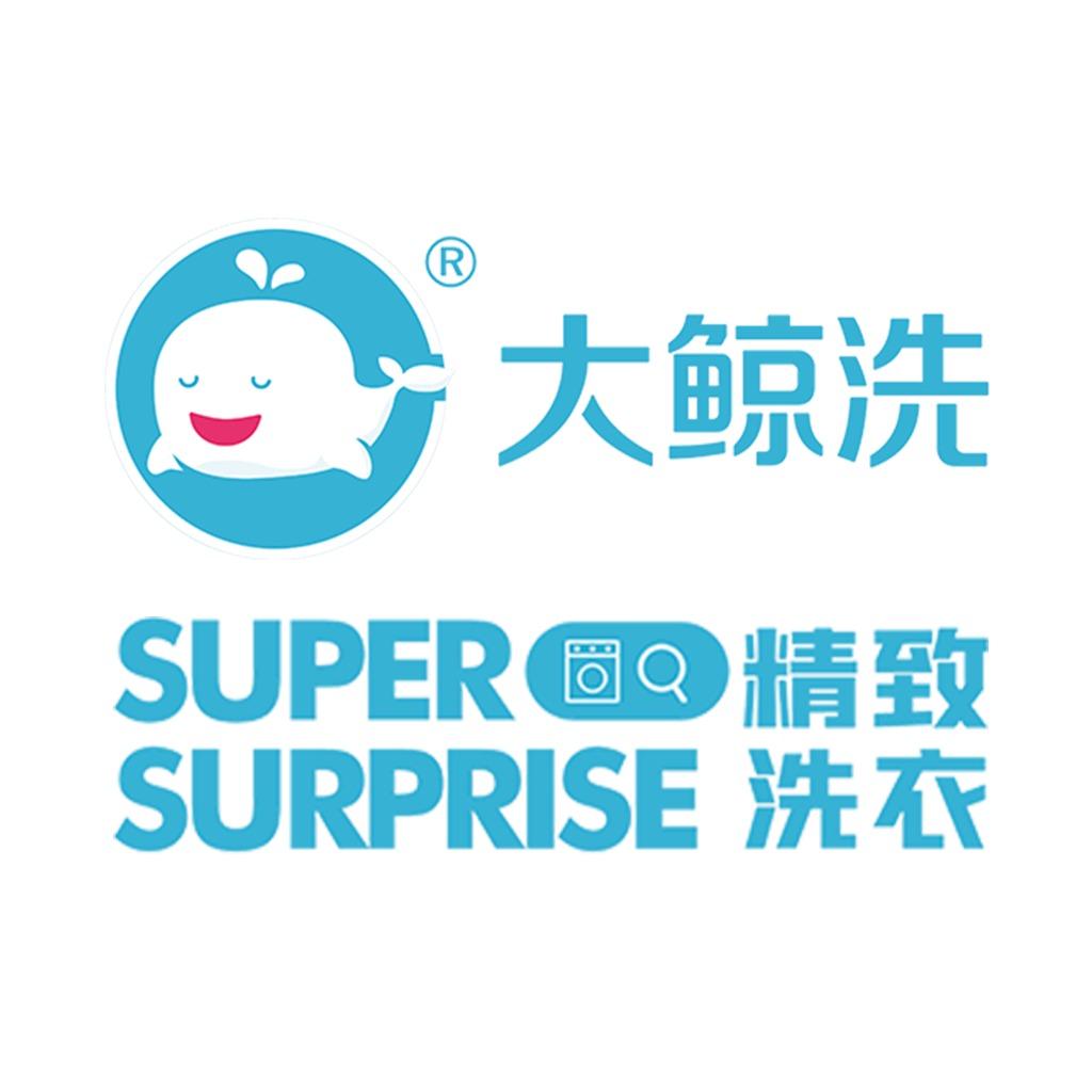 大鲸洗宠粉号