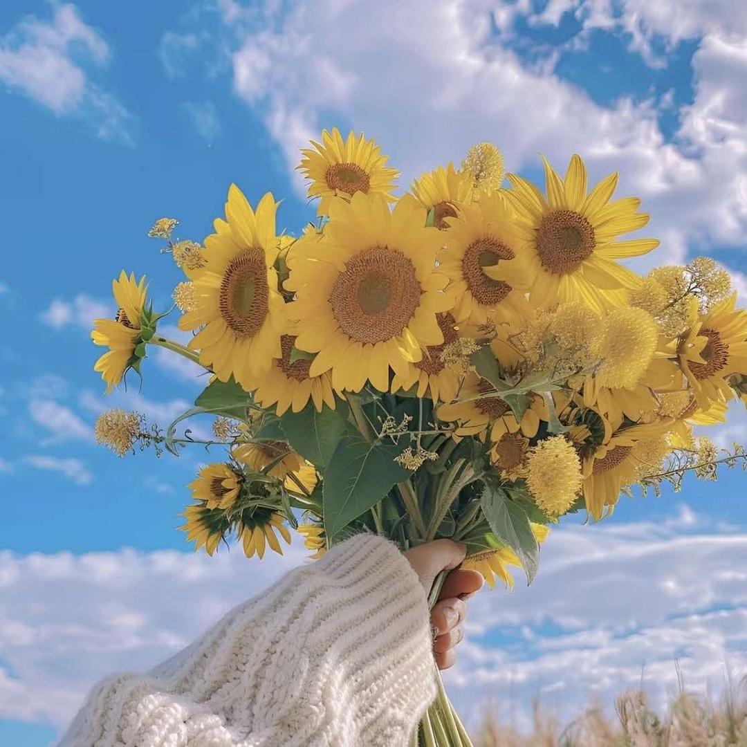 小娜生活会馆官方号