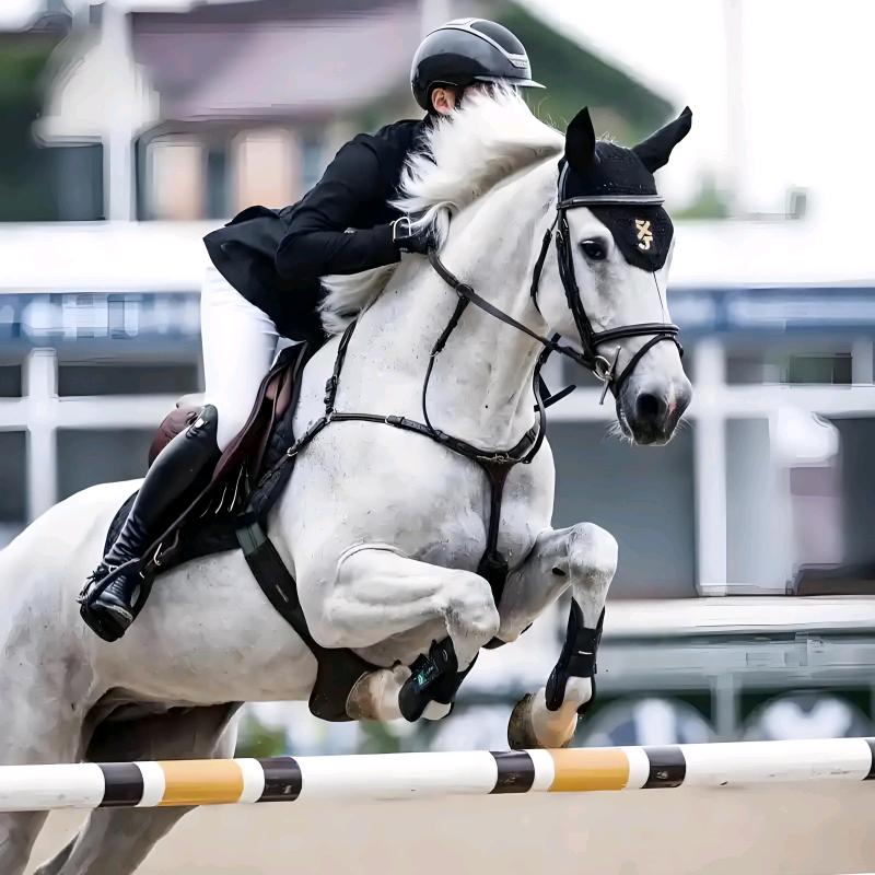 安丘市追风马术俱乐部