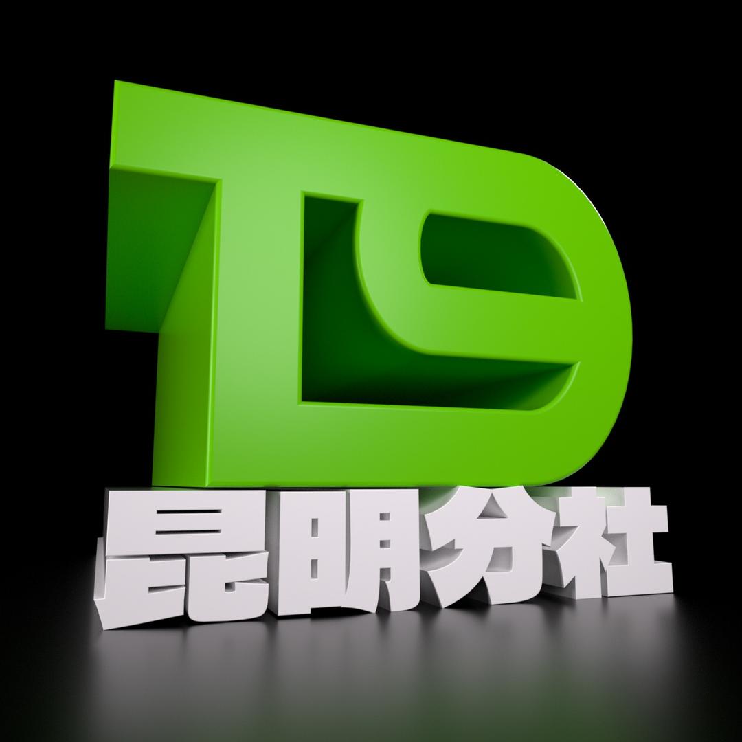 昆明T9（特斯拉升级）