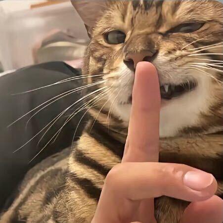 宜昌市诺铁商贸行直播号唷