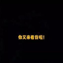 喜欢礼喜铺宠粉号啊