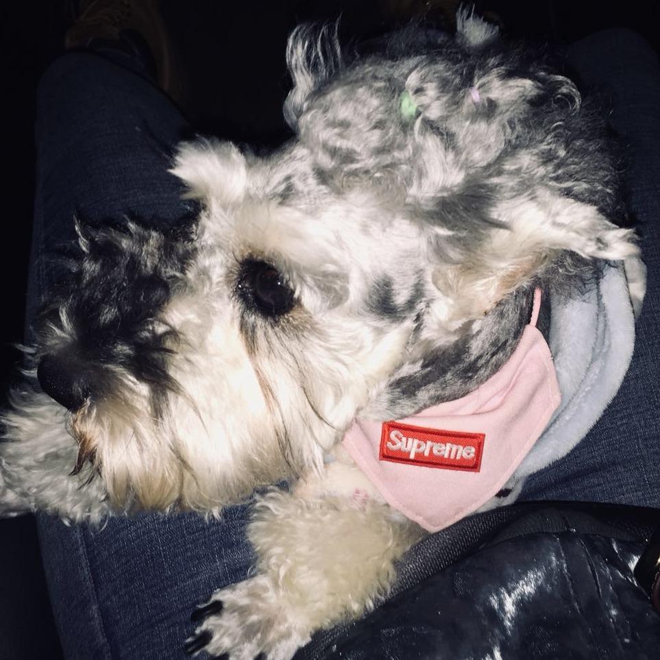 宠爱一生(百年·明日城市店)官方号