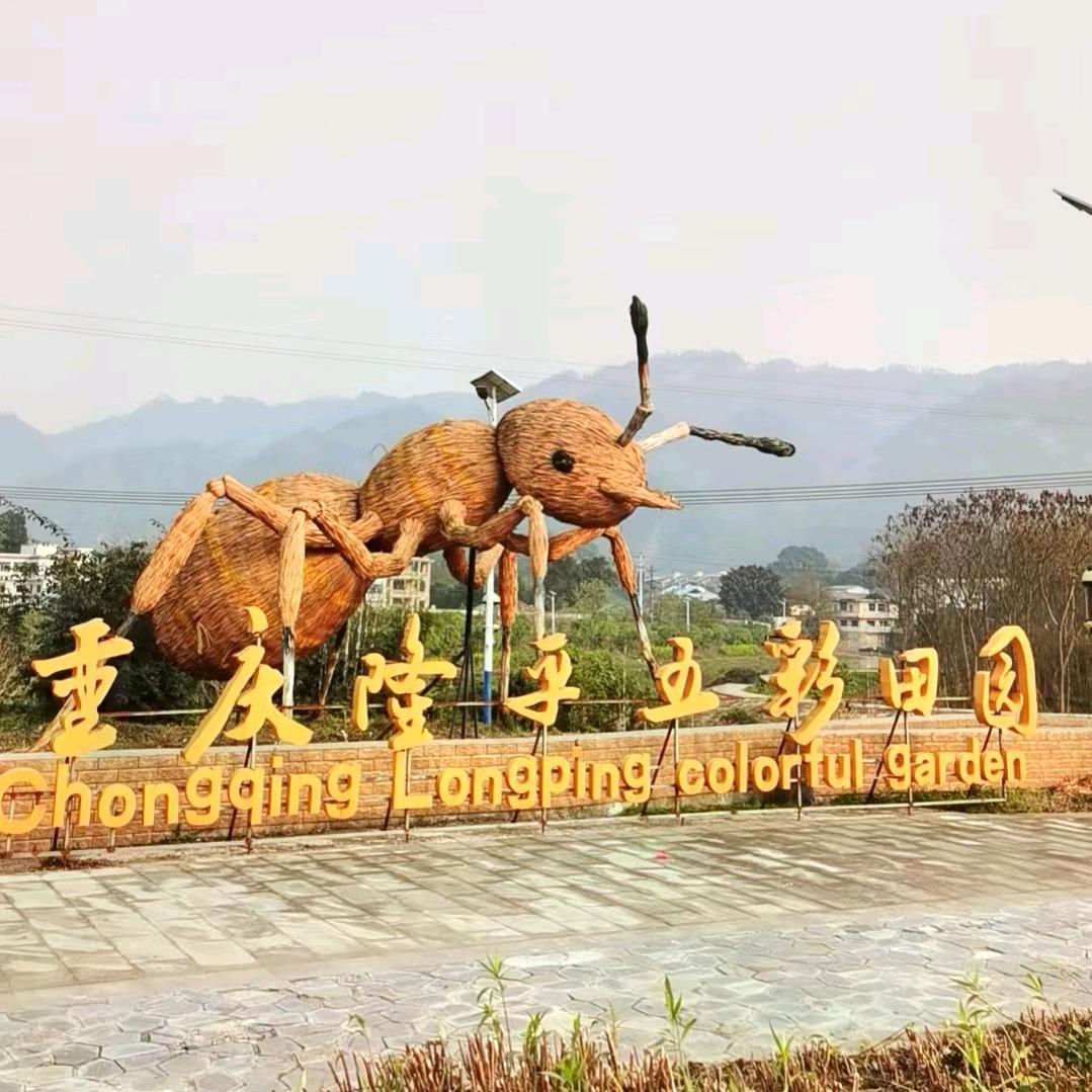 重庆隆平五彩田园