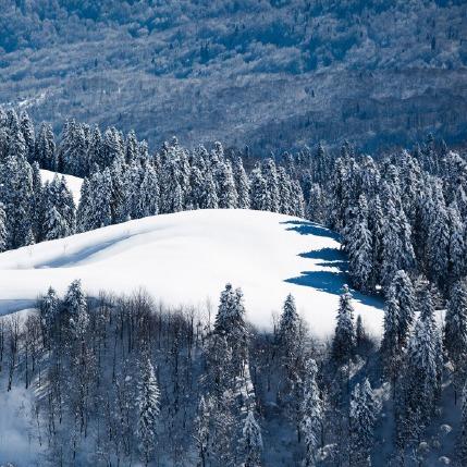 内蒙古烨竹医疗器械有限公司大海经营号