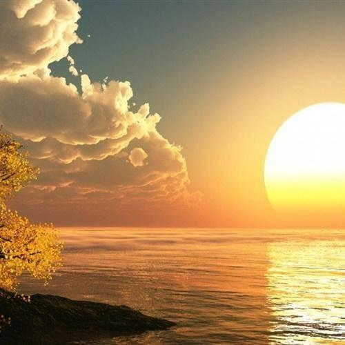 郑州冠浣农业有限公司经营号