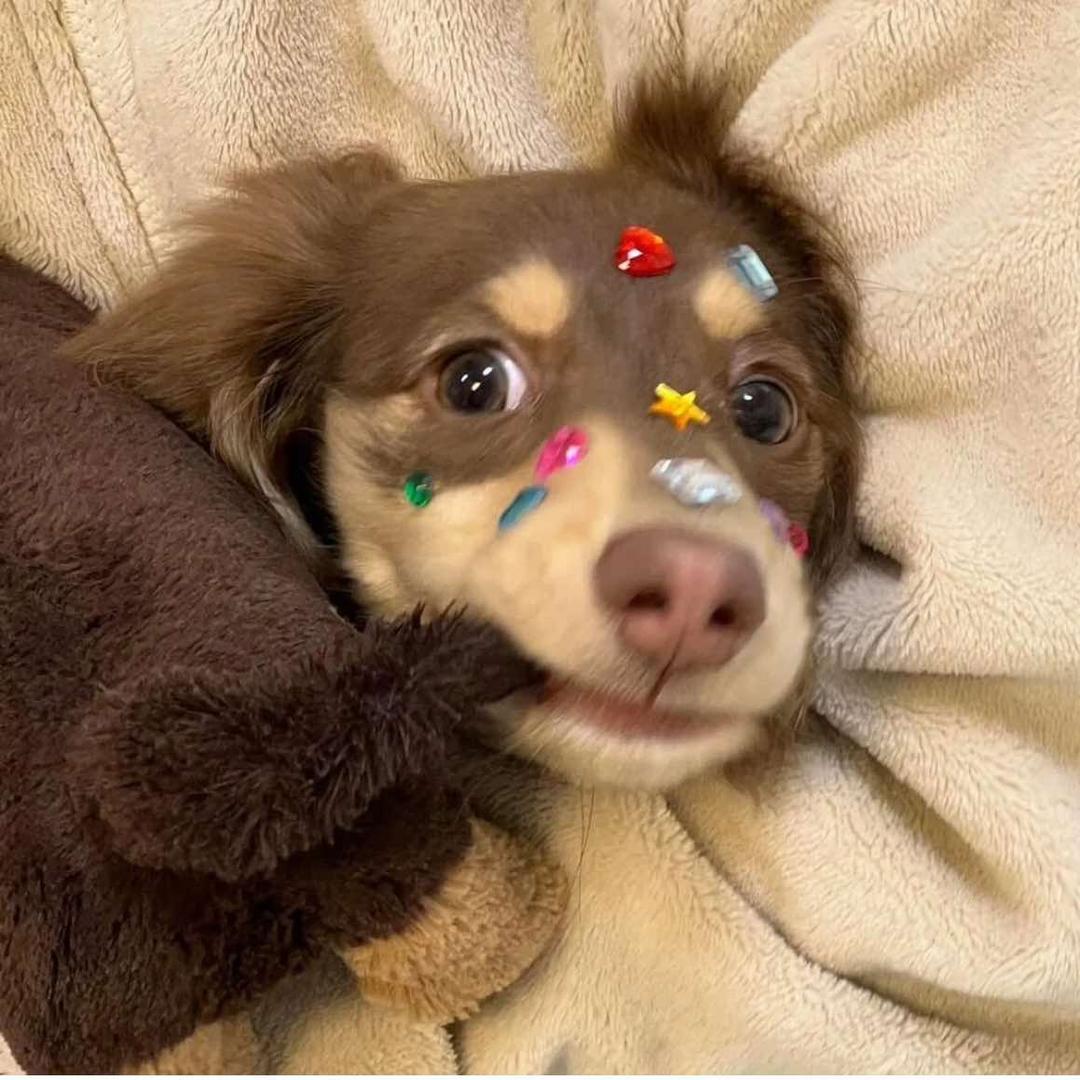 至燃爱小宇专属