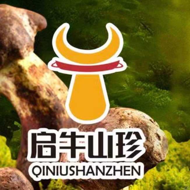 启牛山珍云南野生菌火锅官方号