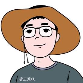 老王亲选