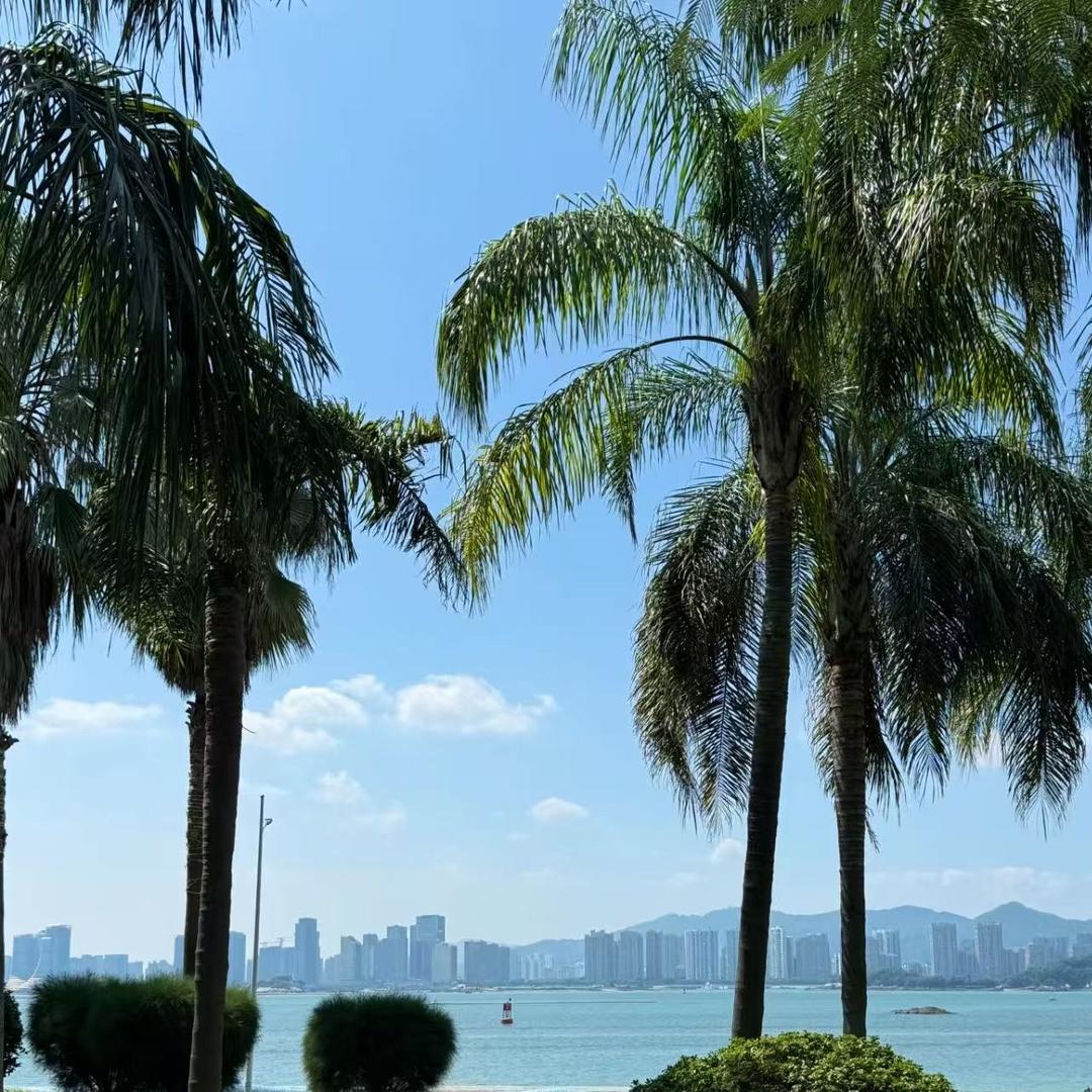 端来直播96号