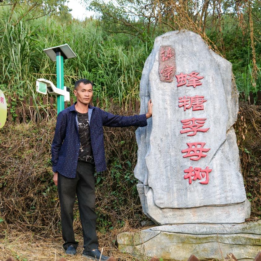 蜂糖李创始人（罗大友）