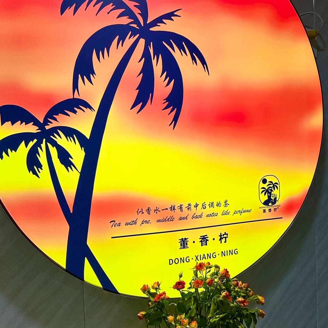 董香柠DXN