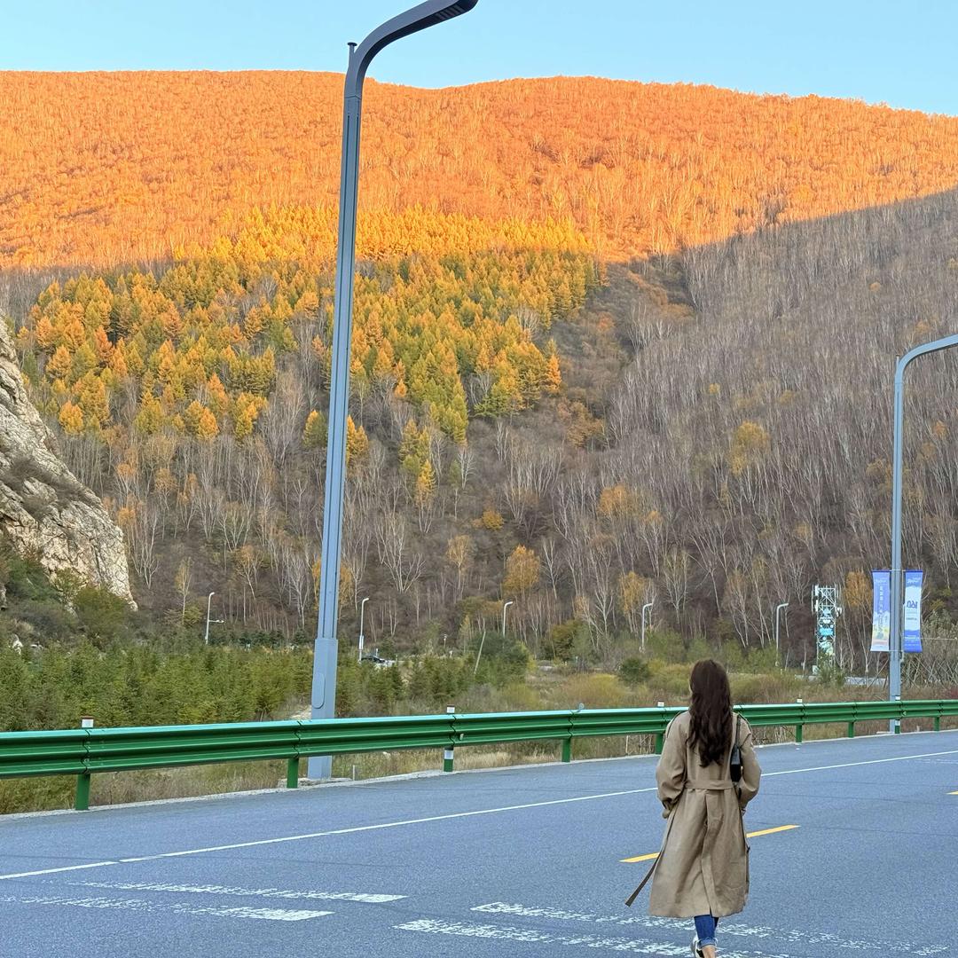 .Y （今夜有焗儿烧烤）