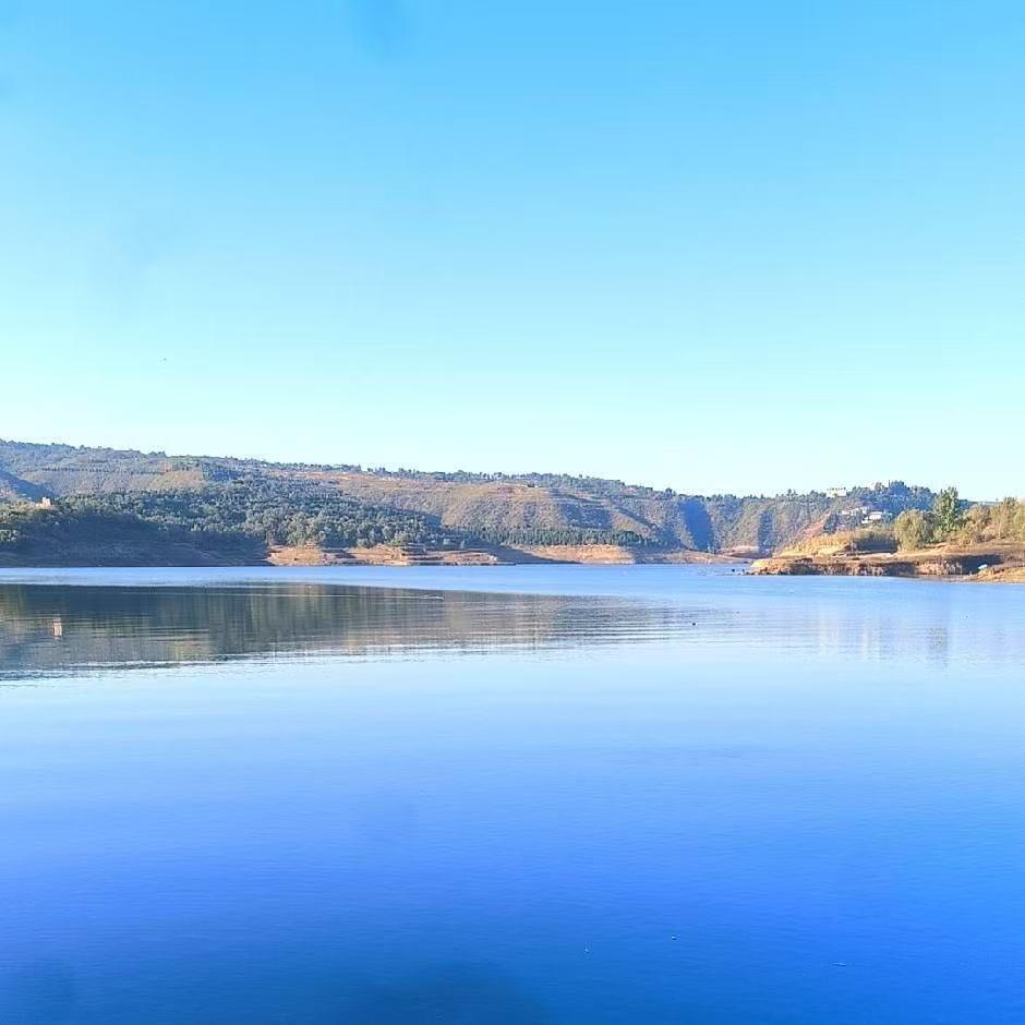 KING李氏超市专用号