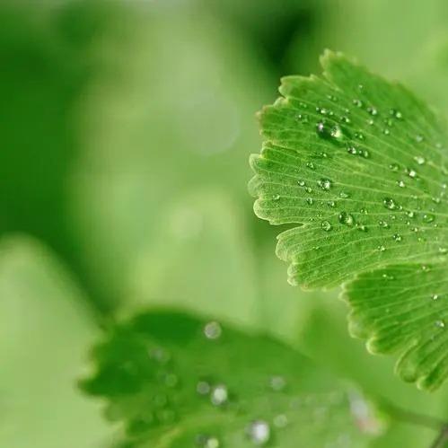 京客隆超市(5号院)的是的的23直播号