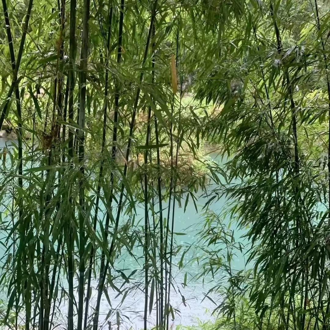 密栾隗商贸有限公司直播号