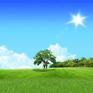 信茂商店姚傍品牌号