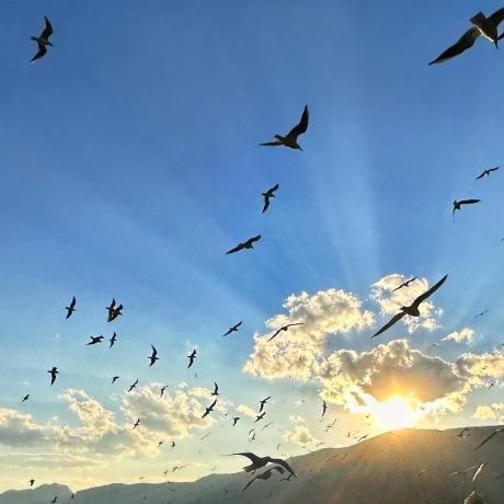 赫珩建材经营2号