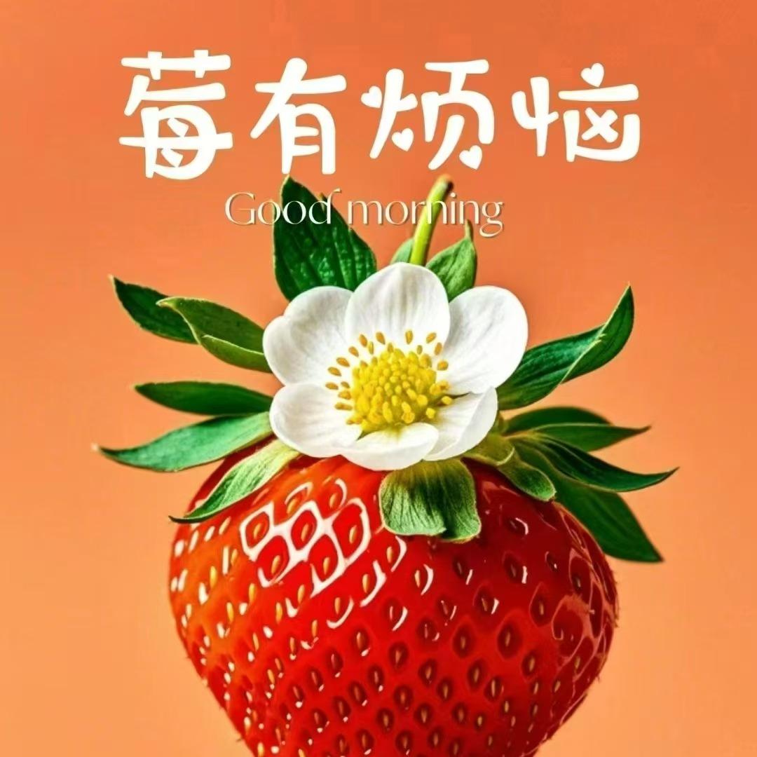 H-P- ✅🉑转