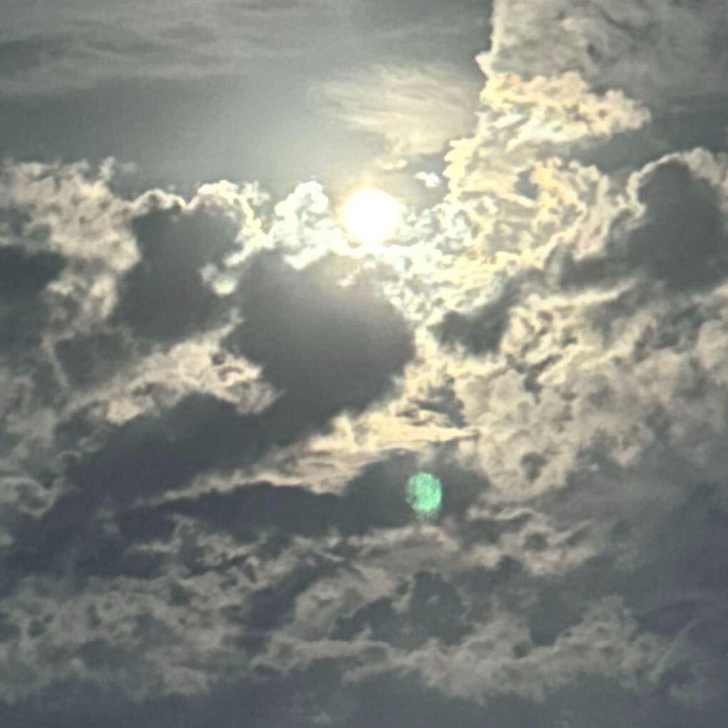 杭州可遇酒店管理樊少皇直播号