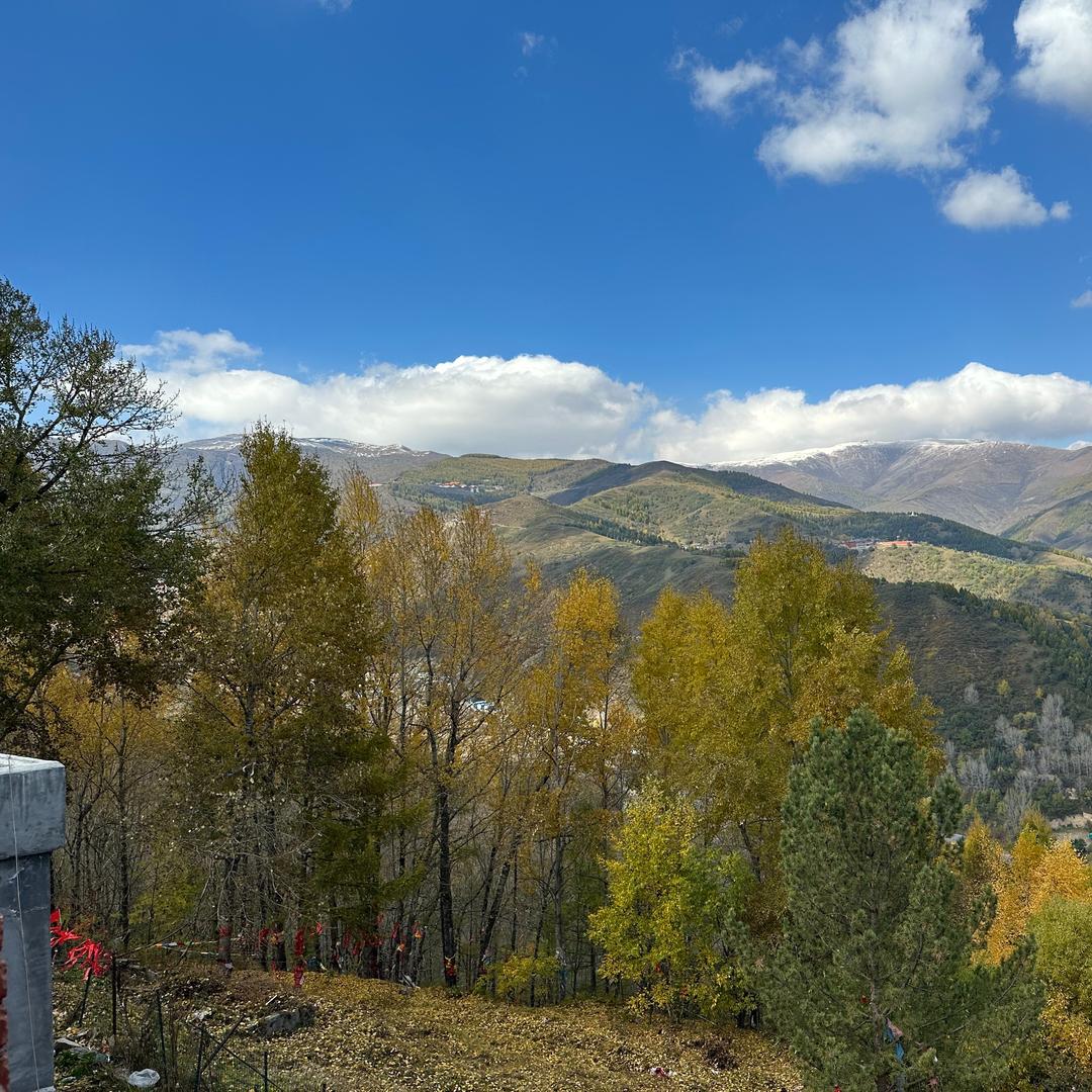 鸿琳生活超市小亏覅缔坠直播号