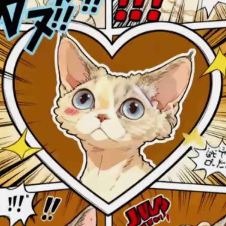 喵精灵暖心德文寄养馆官方号