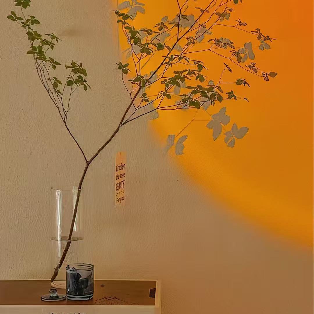 朱旭获直播十号
